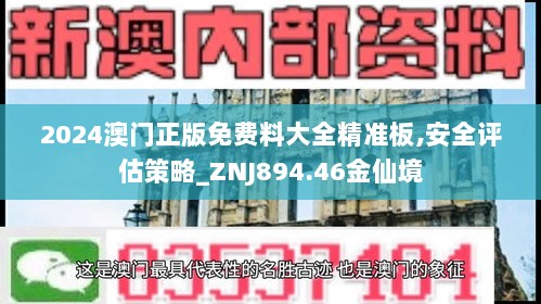 2024澳门正版免费料大全精准板,安全评估策略_ZNJ894.46金仙境