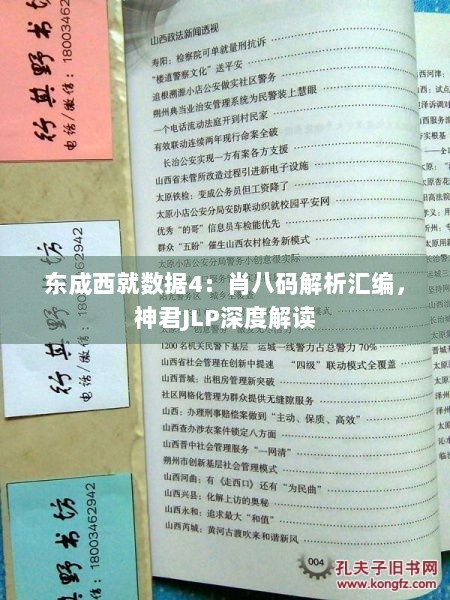 东成西就数据4：肖八码解析汇编，神君JLP深度解读