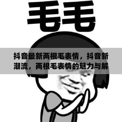 抖音新潮流，两根毛表情的魅力与解析