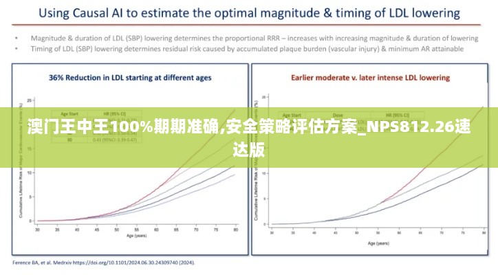 澳门王中王100%期期准确,安全策略评估方案_NPS812.26速达版