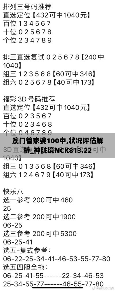 澳门管家婆100中,状况评估解析_神脏境NCK813.22