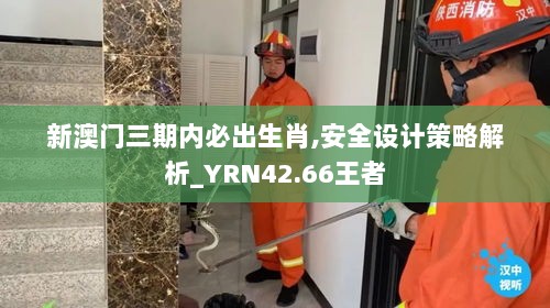 新澳门三期内必出生肖,安全设计策略解析_YRN42.66王者