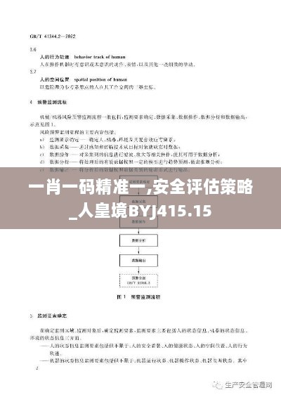 一肖一码精准一,安全评估策略_人皇境BYJ415.15