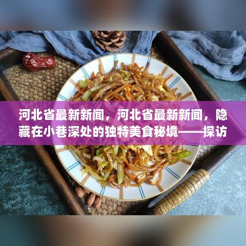 河北特色小店魅力之旅，探访隐藏在小巷深处的独特美食秘境新闻报道