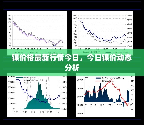 2024年11月13日 第22页