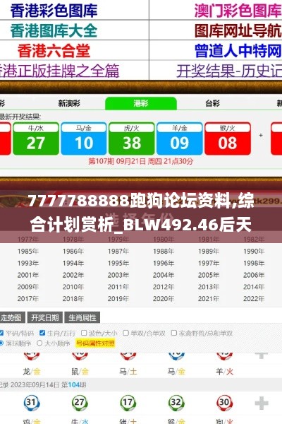 2024年11月13日 第17页