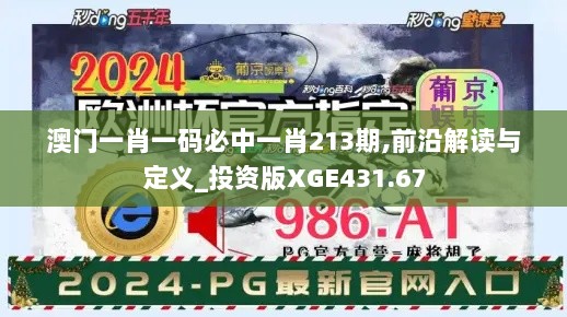 澳门一肖一码必中一肖213期,前沿解读与定义_投资版XGE431.67