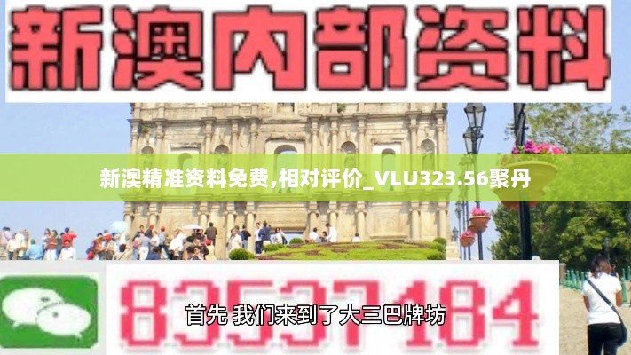 新澳精准资料免费,相对评价_VLU323.56聚丹