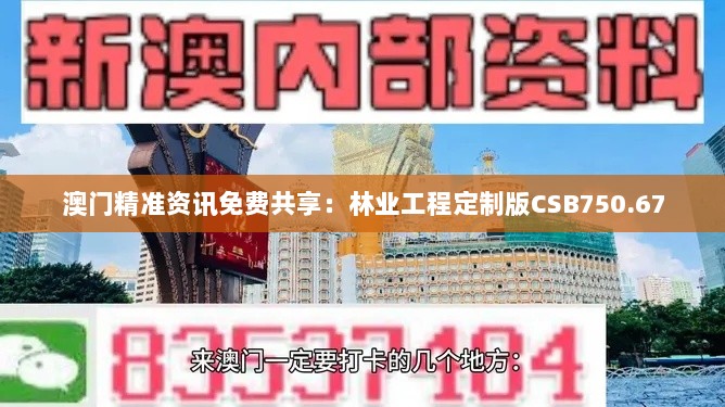 澳门精准资讯免费共享：林业工程定制版CSB750.67