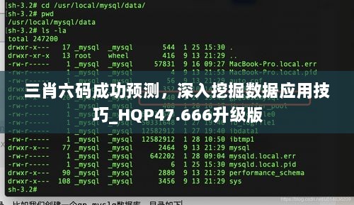 三肖六码成功预测，深入挖掘数据应用技巧_HQP47.666升级版