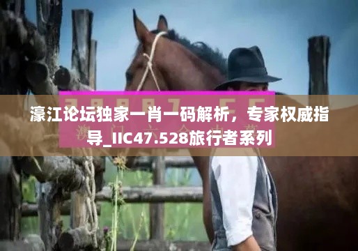 濠江论坛独家一肖一码解析，专家权威指导_IIC47.528旅行者系列