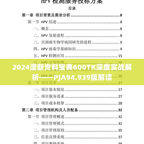 2024澳新资料宝典600TK深度实战解析——PJA94.939版解读