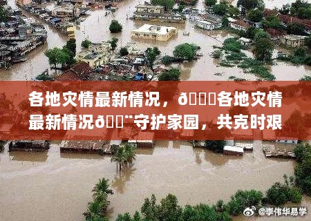 各地灾情最新情况，共克时艰，守护家园的紧急行动🚨