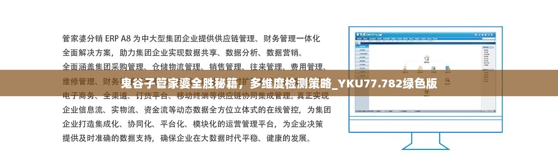 鬼谷子管家婆全胜秘籍，多维度检测策略_YKU77.782绿色版