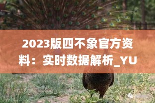 2023版四不象官方资料：实时数据解析_YUJ94.831装饰版