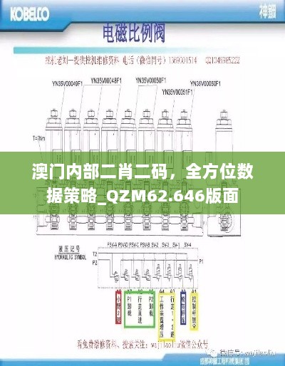 澳门内部二肖二码，全方位数据策略_QZM62.646版面