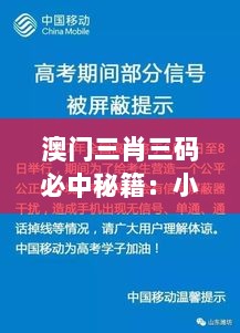 澳门三肖三码必中秘籍：小马哥策略，严格执行方案-CVX77.663SE版