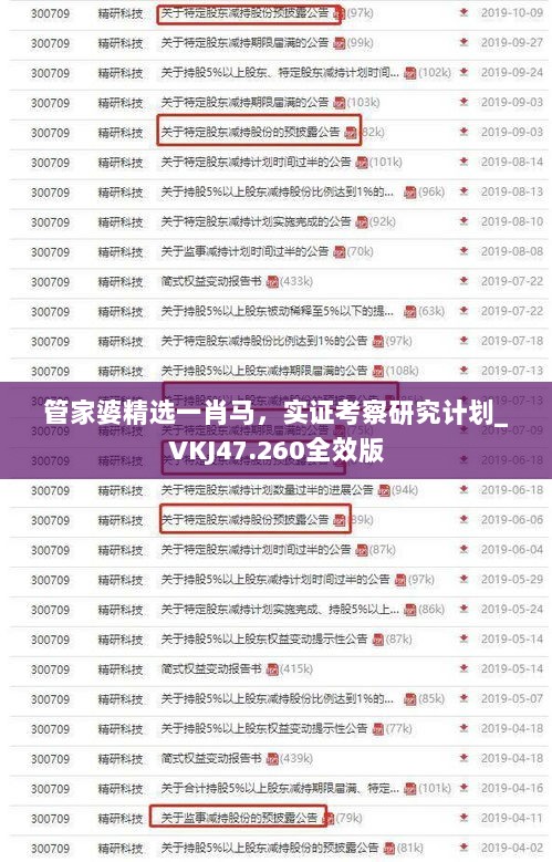 管家婆精选一肖马，实证考察研究计划_VKJ47.260全效版