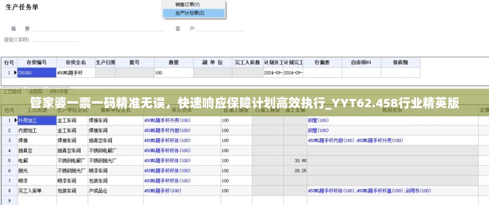 管家婆一票一码精准无误，快速响应保障计划高效执行_YYT62.458行业精英版