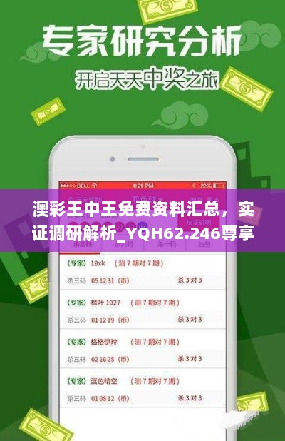 澳彩王中王免费资料汇总，实证调研解析_YQH62.246尊享版