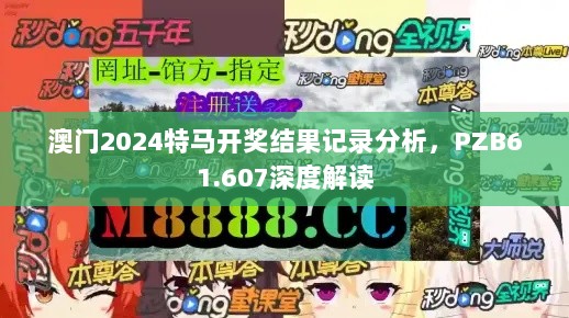 澳门2024特马开奖结果记录分析，PZB61.607深度解读