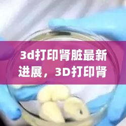 3D打印肾脏的奇迹之旅，爱与陪伴的温馨故事见证科技进展的奇迹