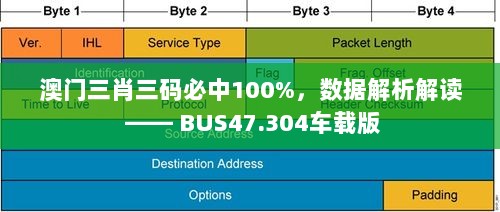 商业市政透水路面 第206页