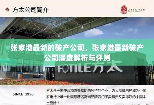 张家港最新破产公司深度解析与评测