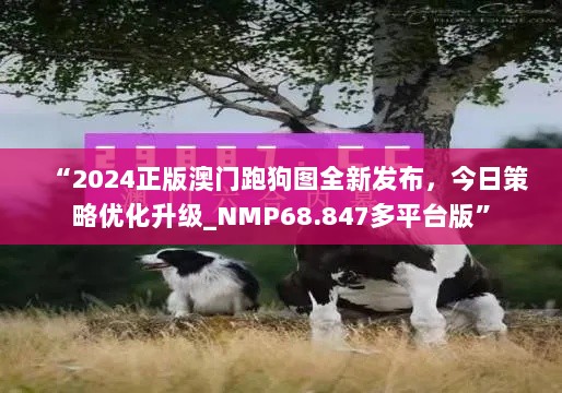 “2024正版澳门跑狗图全新发布，今日策略优化升级_NMP68.847多平台版”