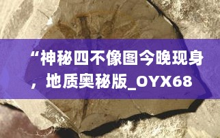 “神秘四不像图今晚现身，地质奥秘版_OYX68.265倾力呈现”