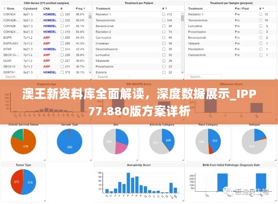 澳王新资料库全面解读，深度数据展示_IPP77.880版方案详析