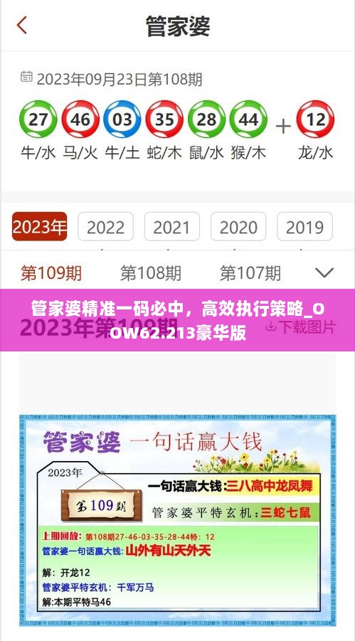 管家婆精准一码必中，高效执行策略_OOW62.213豪华版