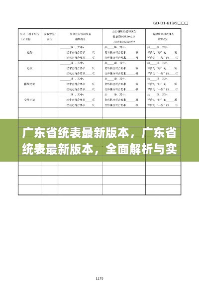 广东省统表最新版本，全面解析与实际应用指南