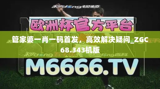 管家婆一肖一码首发，高效解决疑问_ZGC68.343机版