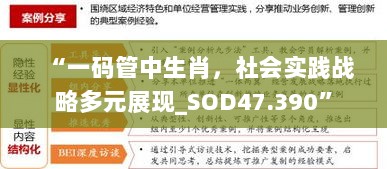 “一码管中生肖，社会实践战略多元展现_SOD47.390”