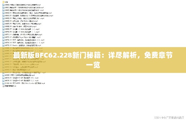 最新版BFC62.228新门秘籍：详尽解析，免费章节一览