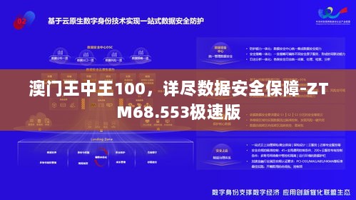 澳门王中王100，详尽数据安全保障-ZTM68.553极速版