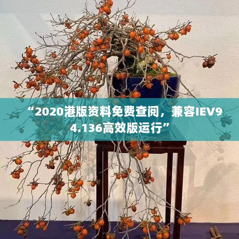 “2020港版资料免费查阅，兼容IEV94.136高效版运行”