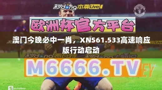 澳门今晚必中一肖，XNS61.533高速响应版行动启动