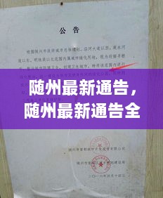 随州最新通告，全面解析与深度体验报告