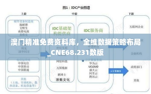 澳门精准免费资料库，全维数据策略布局_CNE68.231数版