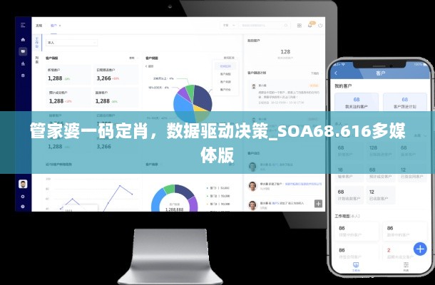 管家婆一码定肖，数据驱动决策_SOA68.616多媒体版