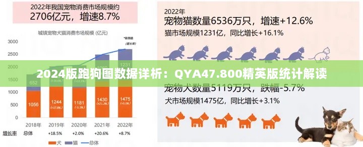 2024版跑狗图数据详析：QYA47.800精英版统计解读