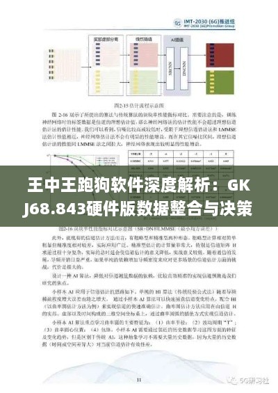 王中王跑狗软件深度解析：GKJ68.843硬件版数据整合与决策应用