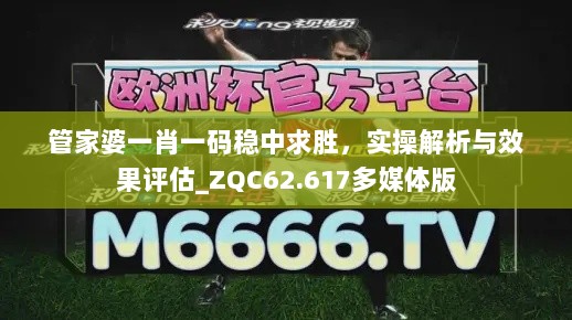 管家婆一肖一码稳中求胜，实操解析与效果评估_ZQC62.617多媒体版