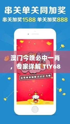 澳门今晚必中一肖，专家详解 TIY68.870手机版