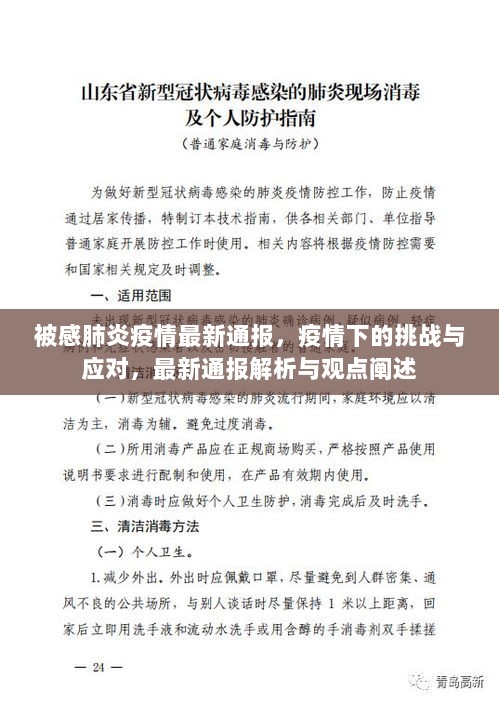 疫情挑战与应对，最新通报解析与观点阐述