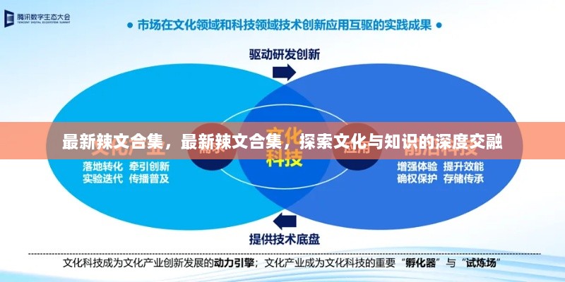 最新辣文合集，文化与知识的深度交融探索