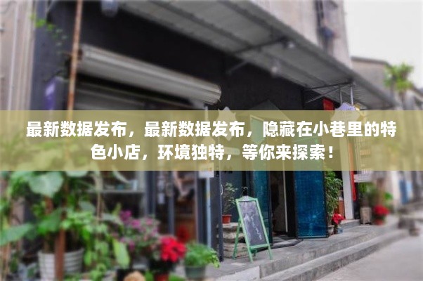 隐藏小巷特色小店等你探索，最新数据发布！