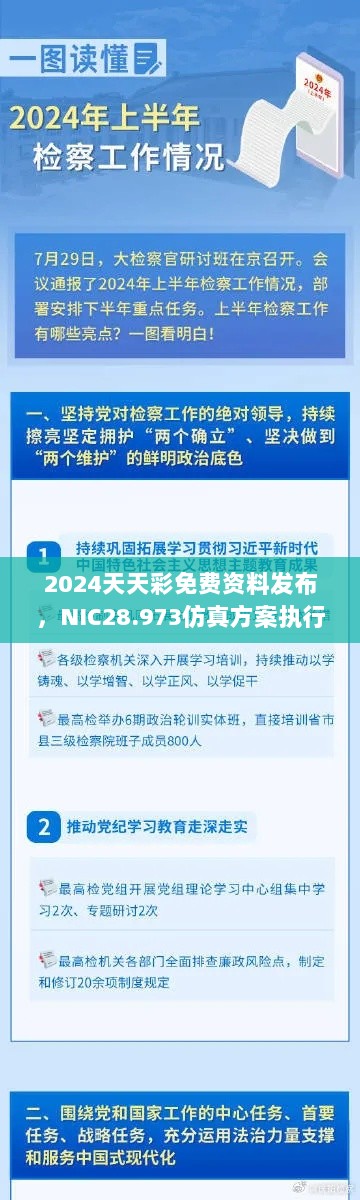 2024天天彩免费资料发布，NIC28.973仿真方案执行指南